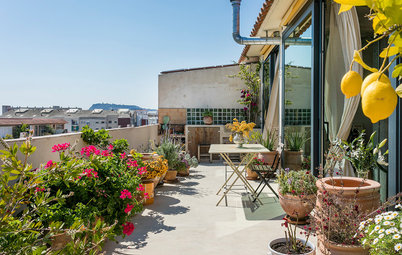 Cómo decorar una terraza grande con plantas