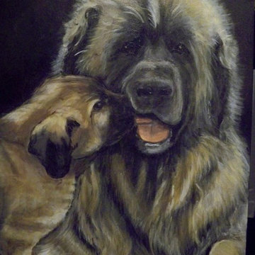 Pet Portraits