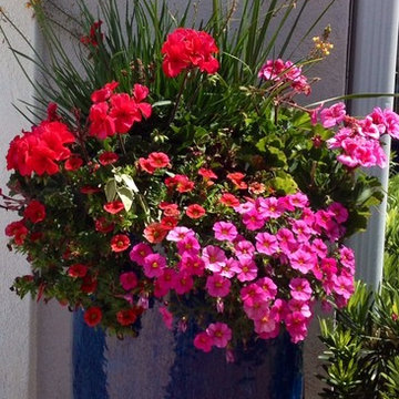 Our Landscaping Work