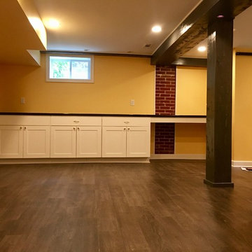 Arlington Basement, Bathroom and Kids Play Area