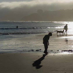 Fog, Bolinas - Prints And Posters