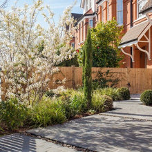 Doggy foot wash