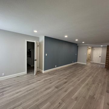 Home Remodel/ One Bath/paint/popcorn removal/LED Can lights/baseboards/Flooring