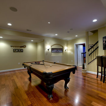 Ashburn Transitional Basement - Pool Area