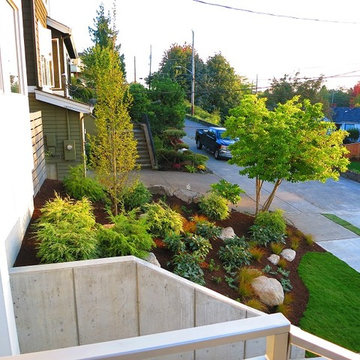 Modern Landscape