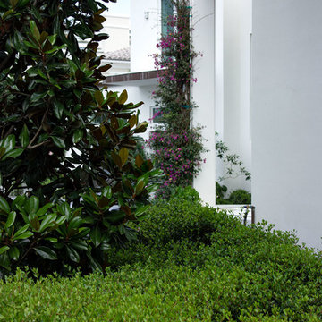 Hedge hug