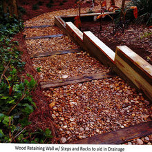 Path From Cinnamons To Greens