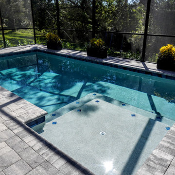 Raised deck with Screen Design