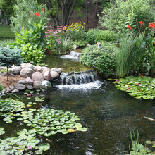 ponds