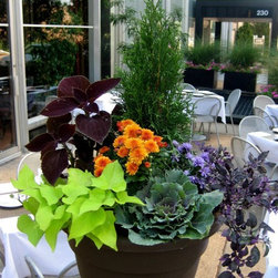 Fall Container Gardens - Products