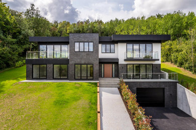 Photo of a contemporary house exterior in Surrey.