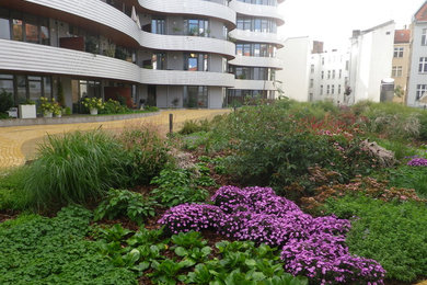Großer, Halbschattiger Moderner Garten im Innenhof im Herbst in Berlin