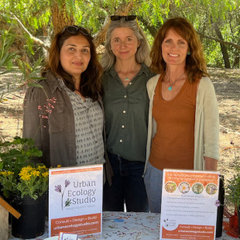 Urban Ecology Studio Inc.