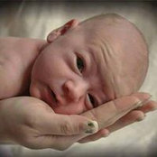 Nora Scheetz Grimm's photo
