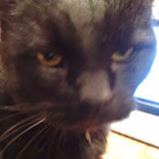 George Baileys foto
