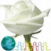 Sue Sokal's photo
