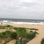 Diane Wyffels's photo