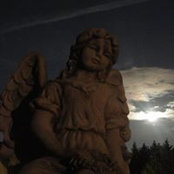 Shar Schibonski's photo