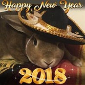 Tabetha Taylor's photo