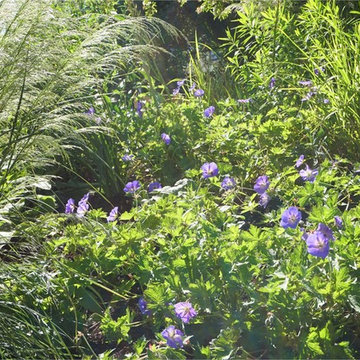 Sloping Garden Barnet