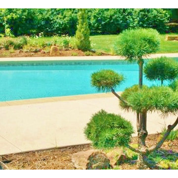 Swimming Pools and Spas