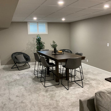 New Hamburg Basement Renovation