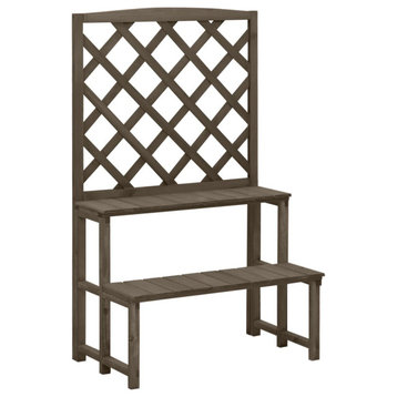 vidaXL Plant Rack 2-Tier Plant Stand with Trellis Shelves Gray Solid Firwood