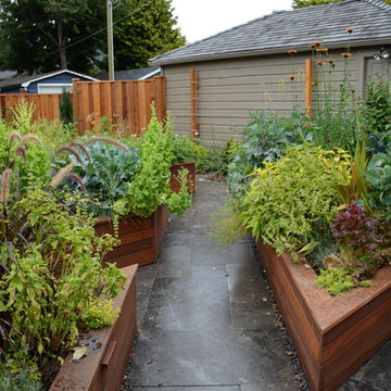 Raised Vegetable / Ornamental Garden