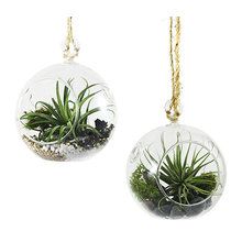 Wish List