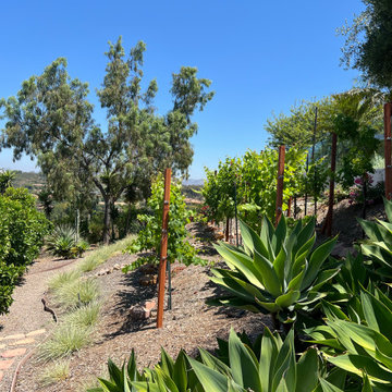 Rancho Santa Fe retreat
