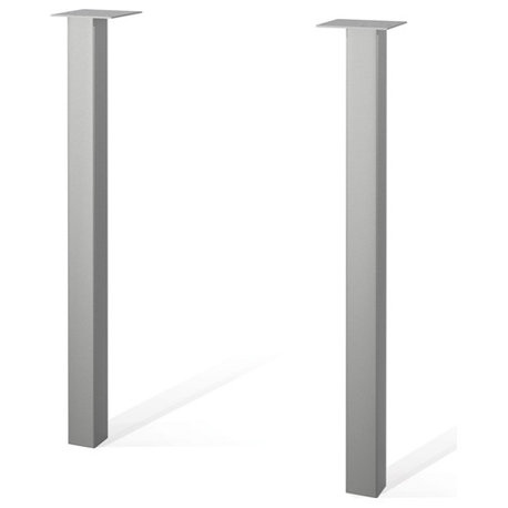 Contempo Two metal legs in Silver