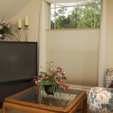 Shade Tree Shutters