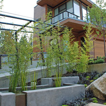 Exterior Ideas- becker