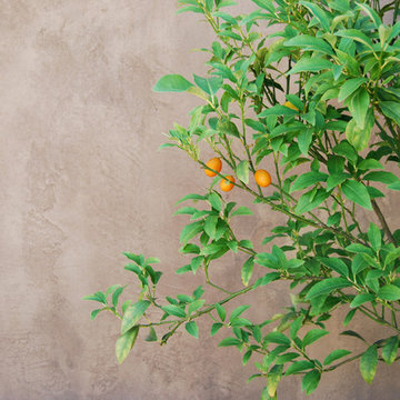 Aged lime plaster wall