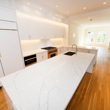 Luxury Custom kitchen Remodel