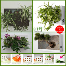 ISPIRAZIONI DAL BLOG