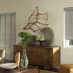 Hunter Douglas Designer Roller Shades - Roller Shades