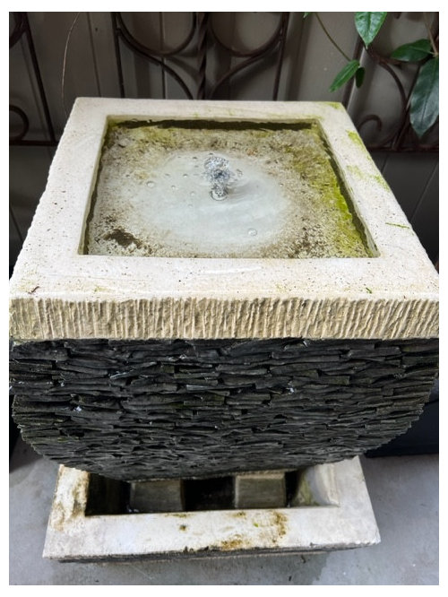 Algae on fountain never been this bad!! Advice?