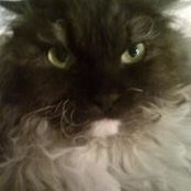 Lisa Freeman's photo
