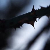 Foto von Iris Grüning