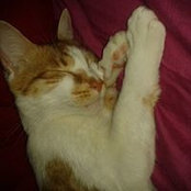 Foto von Chrystel Buisson