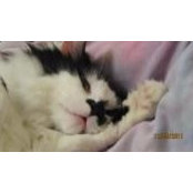 Deanna Burns Davidson's photo