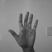 Sofia Bastidasさんの写真