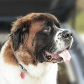 Joanne Torma's photo