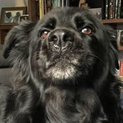 Ed Crummack's photo