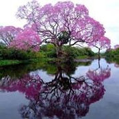 Manal Alkady's photo
