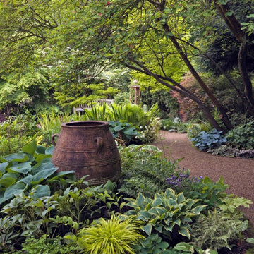 Woodland Shade Garden