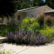Backyard Oasis