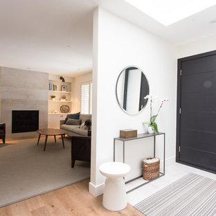 75 Most Popular Midcentury Entrance With White Walls Design Ideas