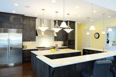 Kitchen - transitional kitchen idea in Chicago